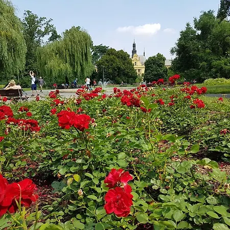Budget Charles Square Prag