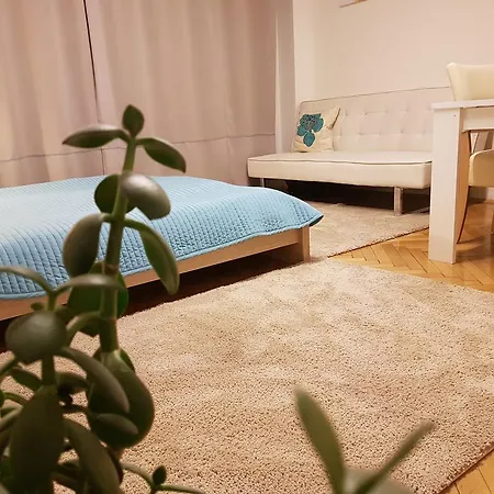 Budget Charles Square Prag
